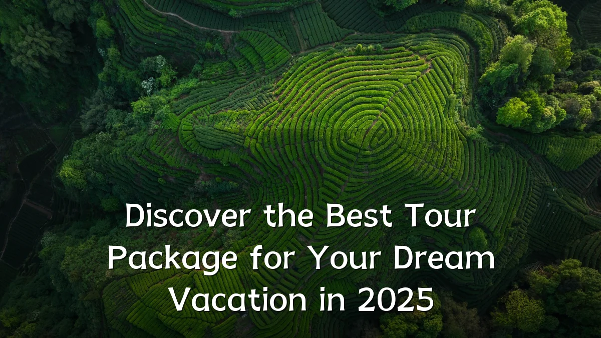 Discover the Best Tour Package for Your Dream Vacation in 2025