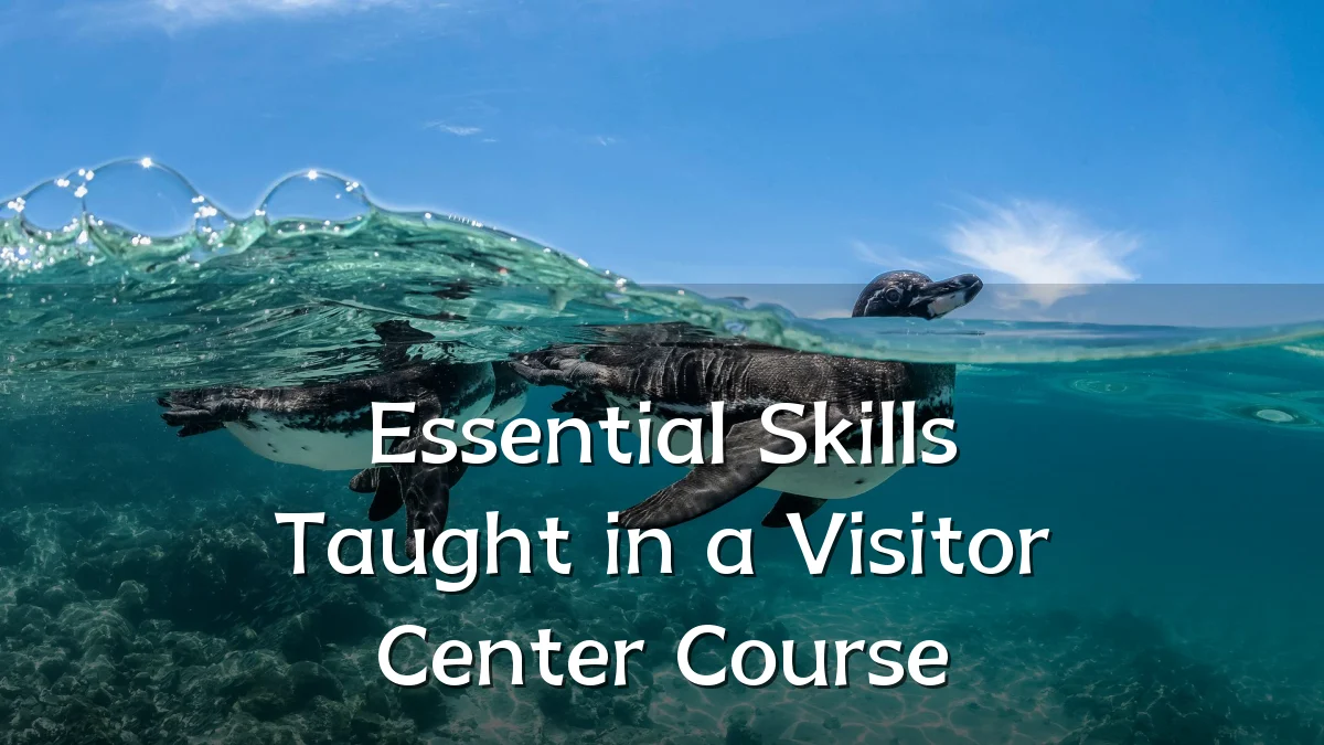 Essential Skills Taught in a Visitor Center Course