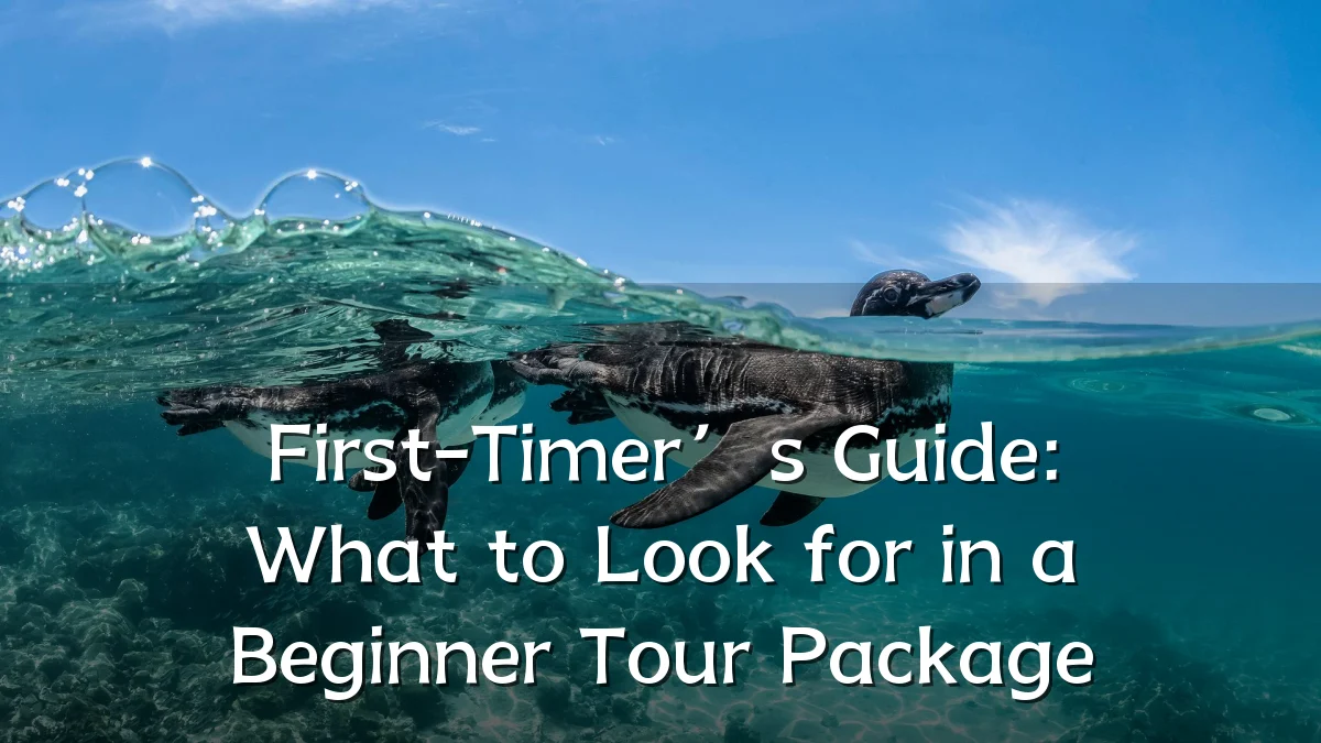 First-Timer’s Guide: What to Look for in a Beginner Tour Package