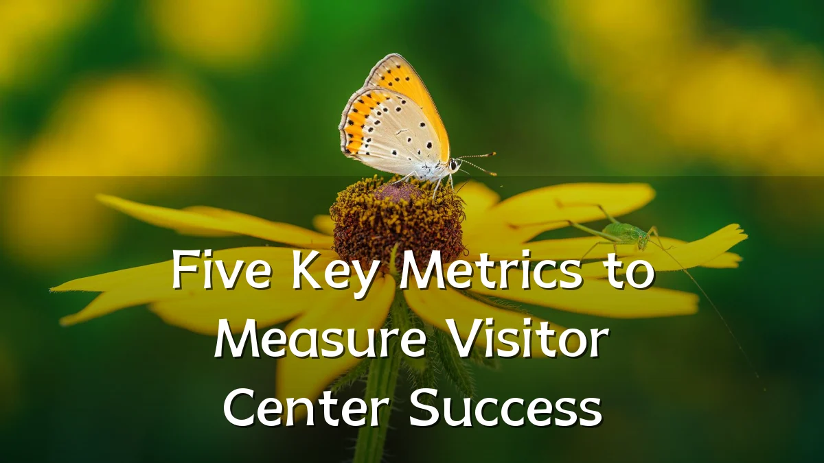 Five Key Metrics to Measure Visitor Center Success