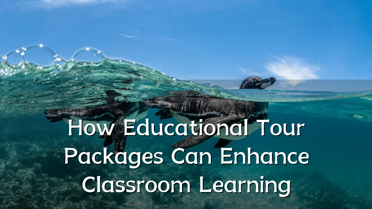 How Educational Tour Packages Can Enhance Classroom Learning