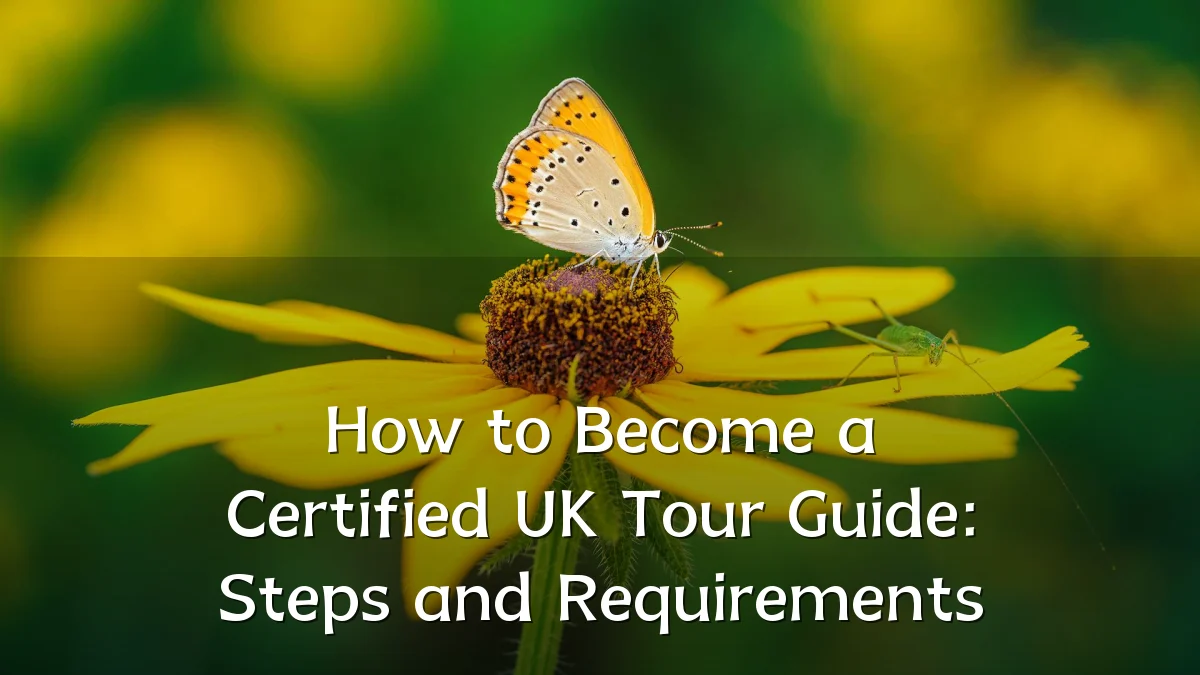 How to Become a Certified UK Tour Guide: Steps and Requirements