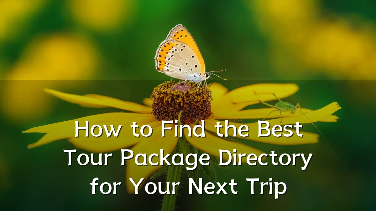 How to Find the Best Tour Package Directory for Your Next Trip