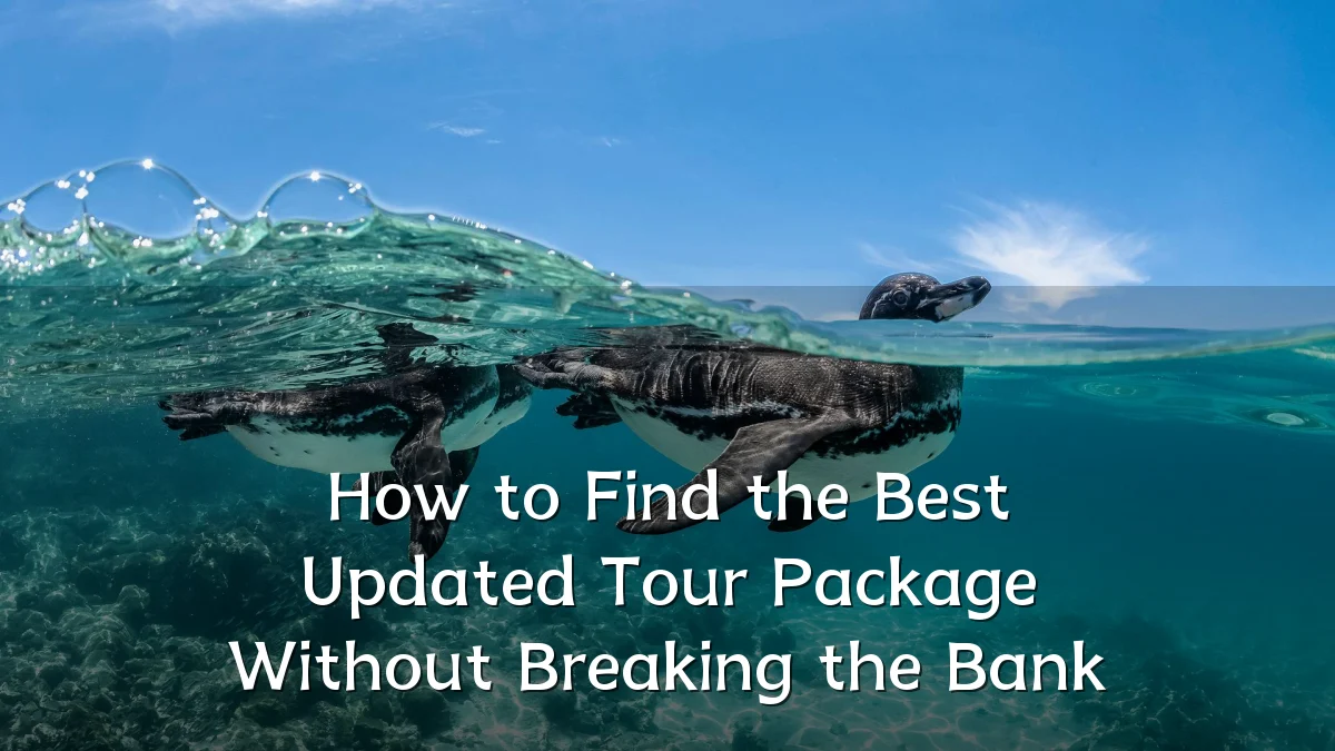 How to Find the Best Updated Tour Package Without Breaking the Bank