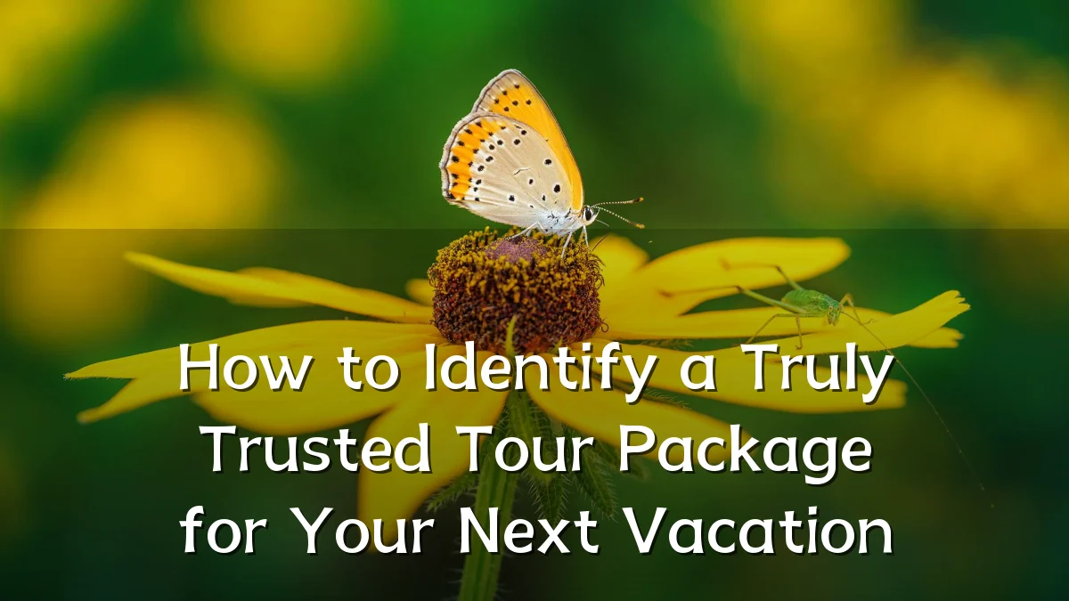How to Identify a Truly Trusted Tour Package for Your Next Vacation