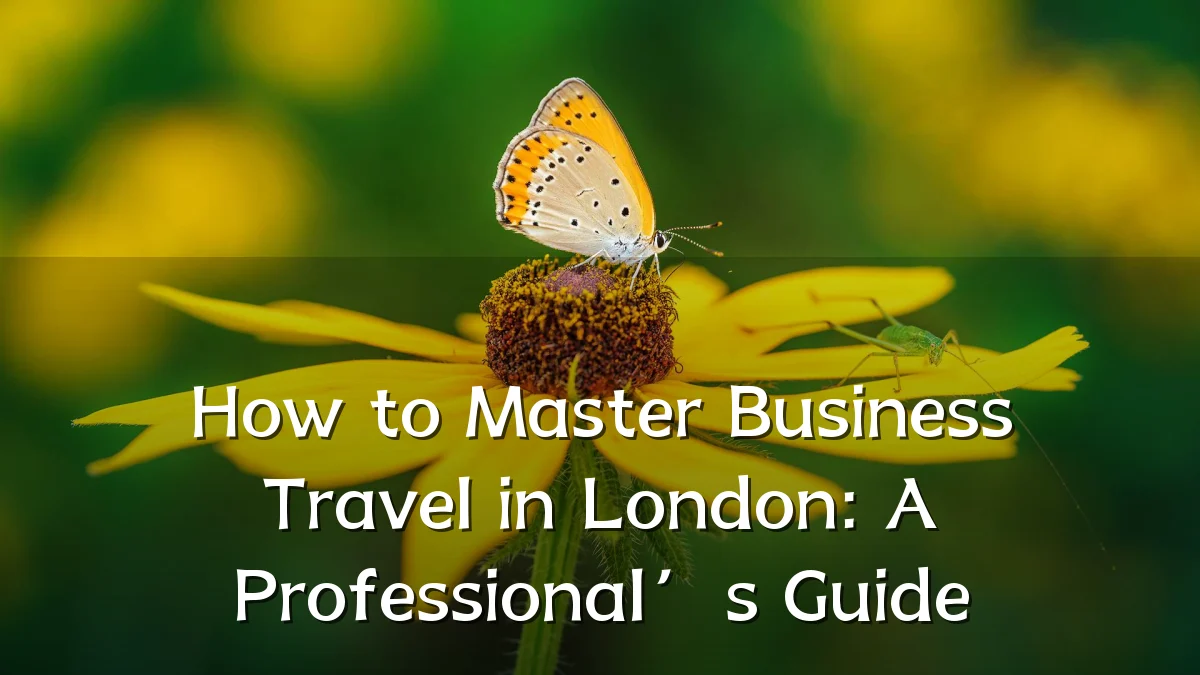 How to Master Business Travel in London: A Professional’s Guide