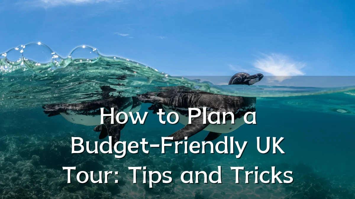 How to Plan a Budget-Friendly UK Tour: Tips and Tricks