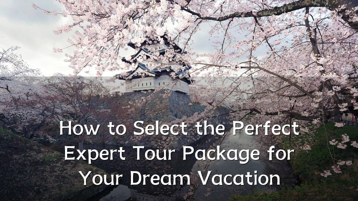 How to Select the Perfect Expert Tour Package for Your Dream Vacation