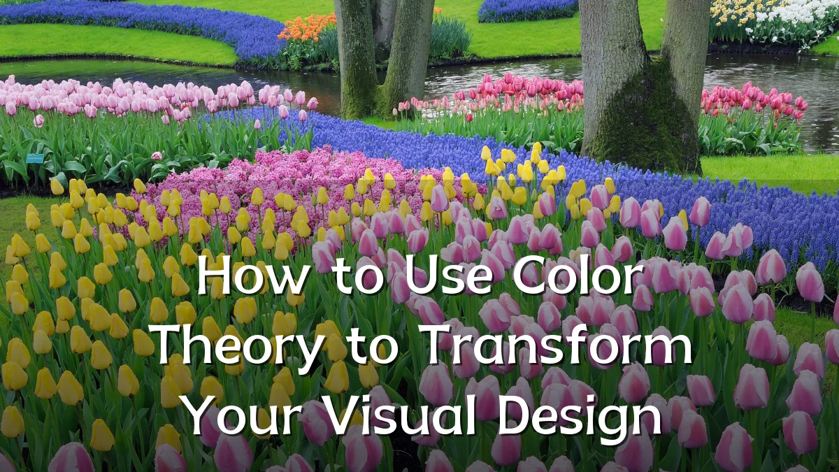 How to Use Color Theory to Transform Your Visual Design