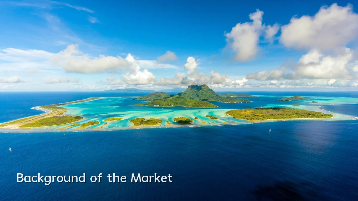 Background of the Market