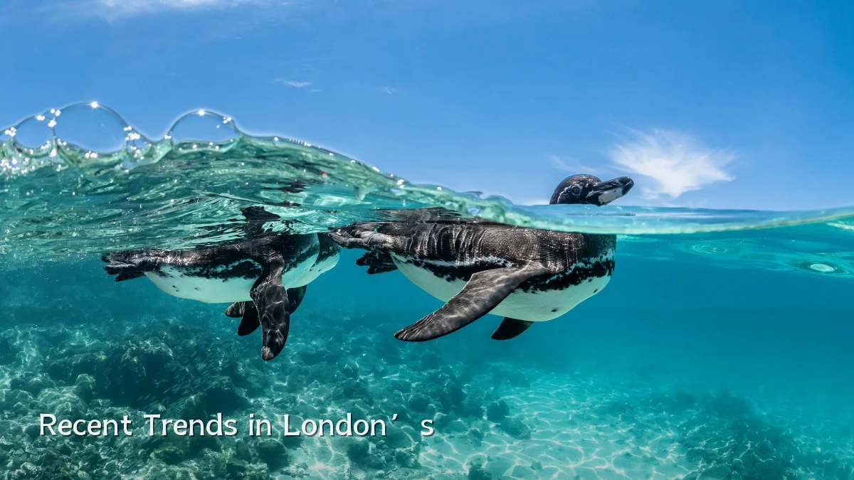 Recent Trends in London’s