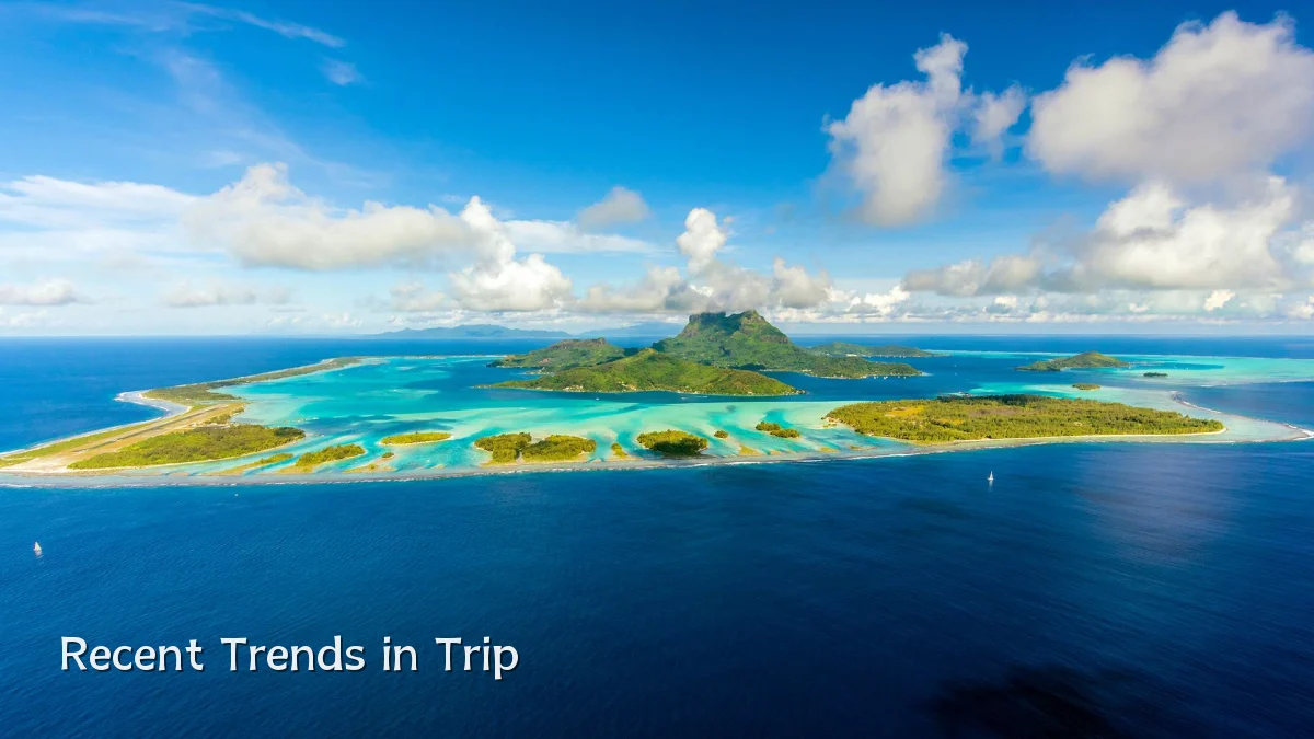 Recent Trends in Trip