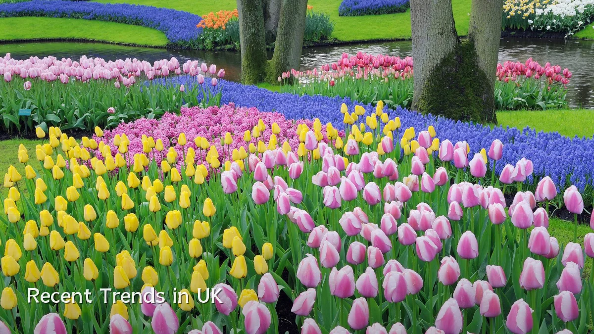 Recent Trends in UK