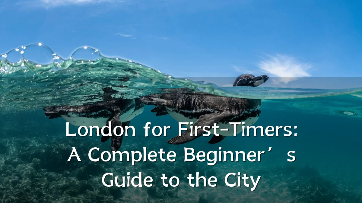 London for First-Timers: A Complete Beginner’s Guide to the City