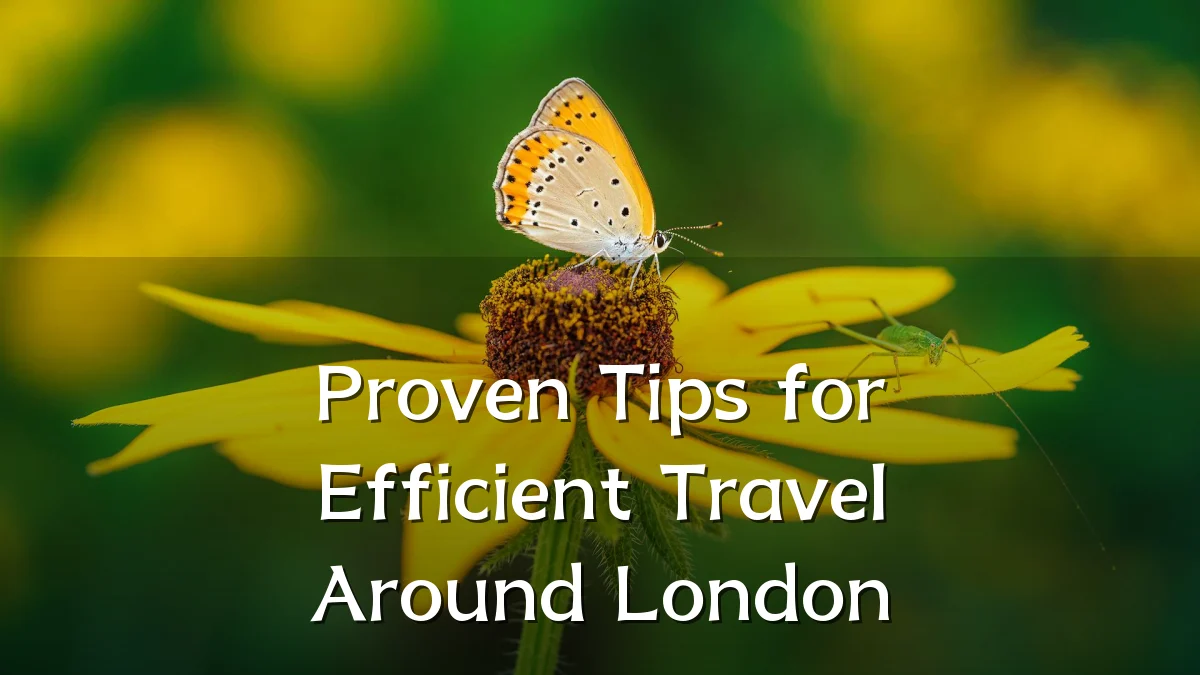 Proven Tips for Efficient Travel Around London