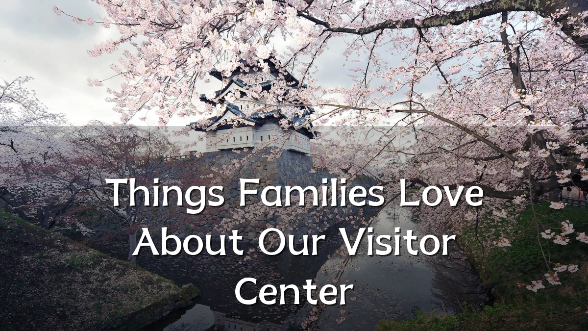 Things Families Love About Our Visitor Center