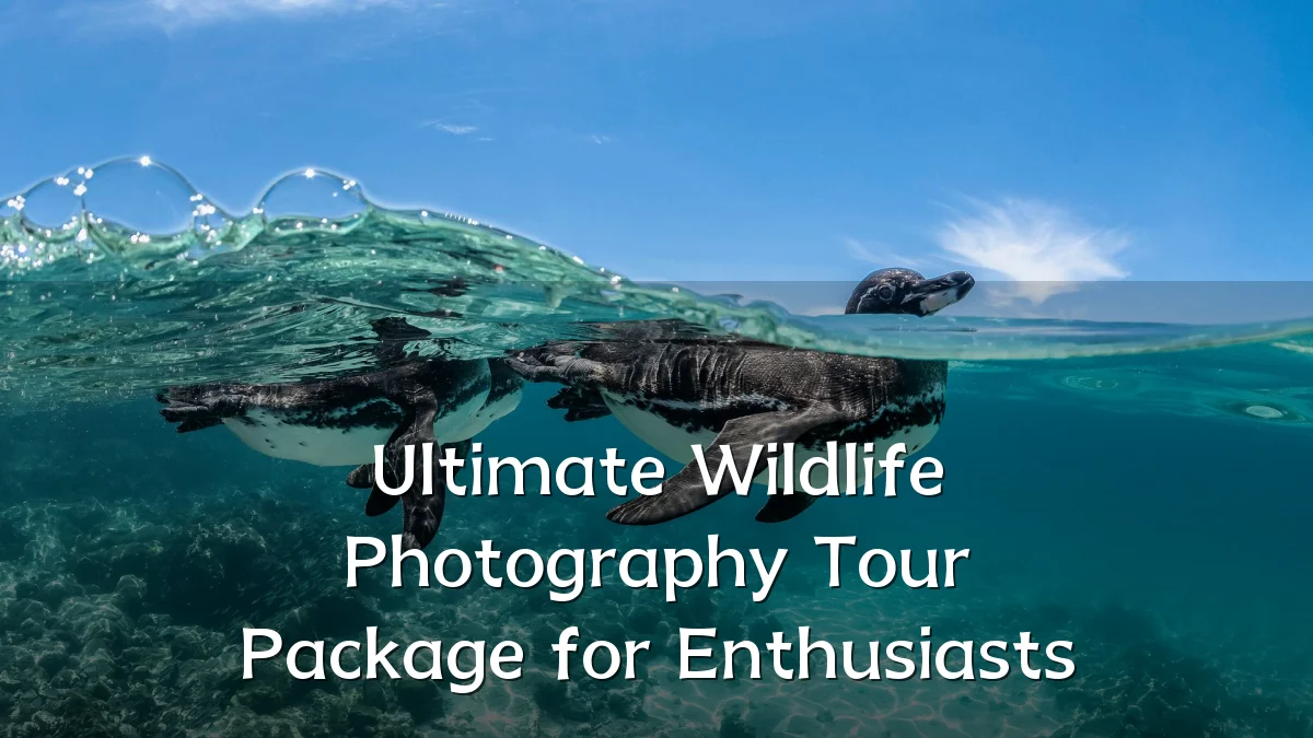 Ultimate Wildlife Photography Tour Package for Enthusiasts