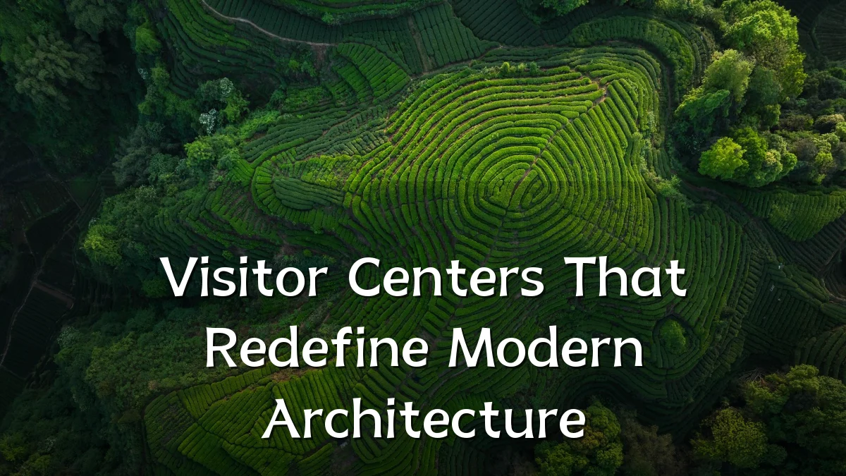 Visitor Centers That Redefine Modern Architecture