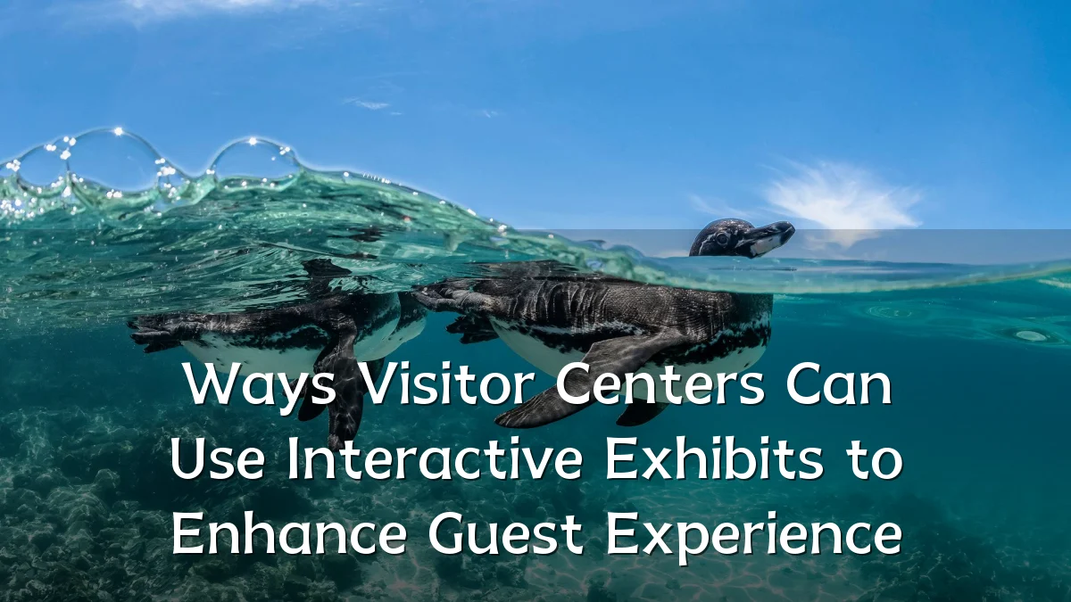 Ways Visitor Centers Can Use Interactive Exhibits to Enhance Guest Experience