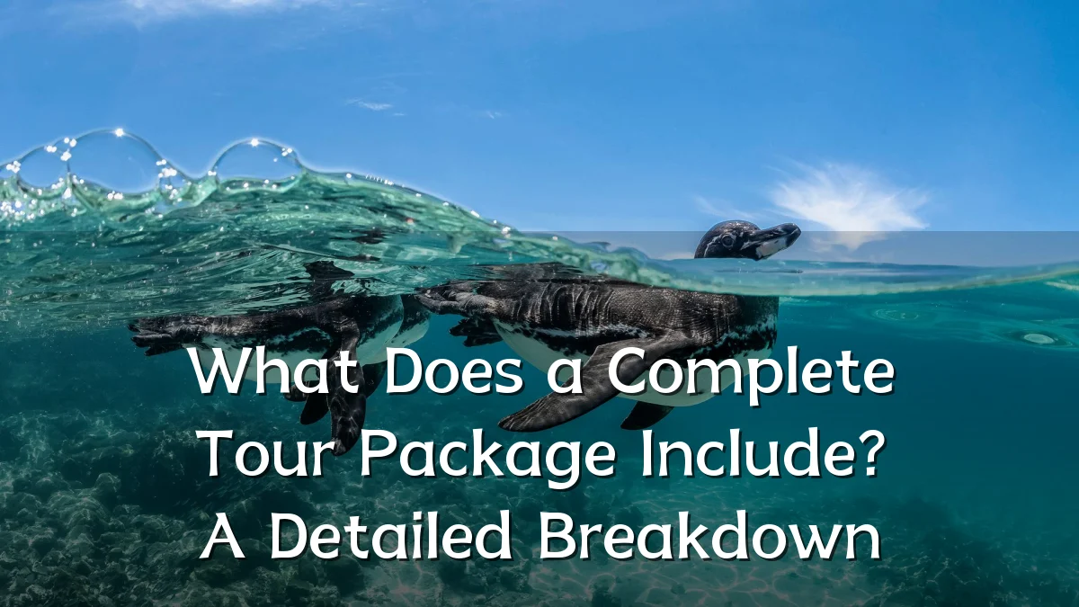 What Does a Complete Tour Package Include? A Detailed Breakdown