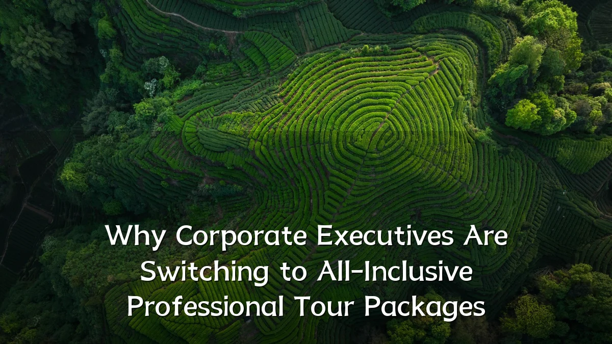 Why Corporate Executives Are Switching to All-Inclusive Professional Tour Packages