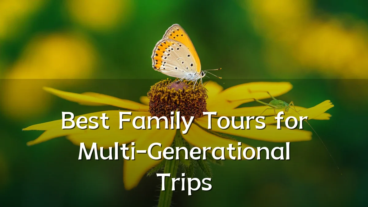 Best Family Tours for Multi-Generational Trips