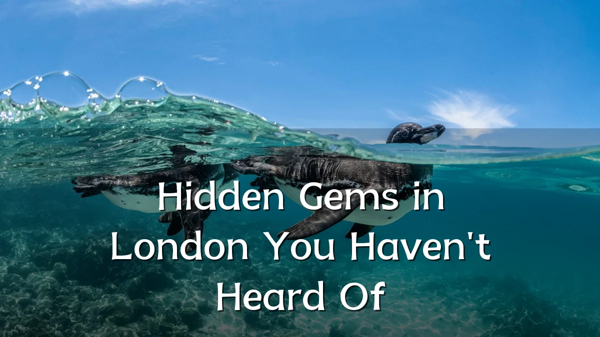 Hidden Gems in London You Haven't Heard Of