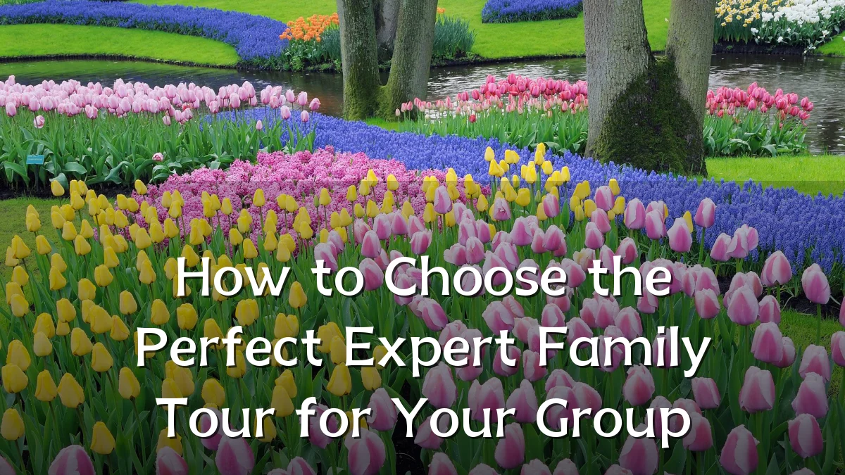 How to Choose the Perfect Expert Family Tour for Your Group