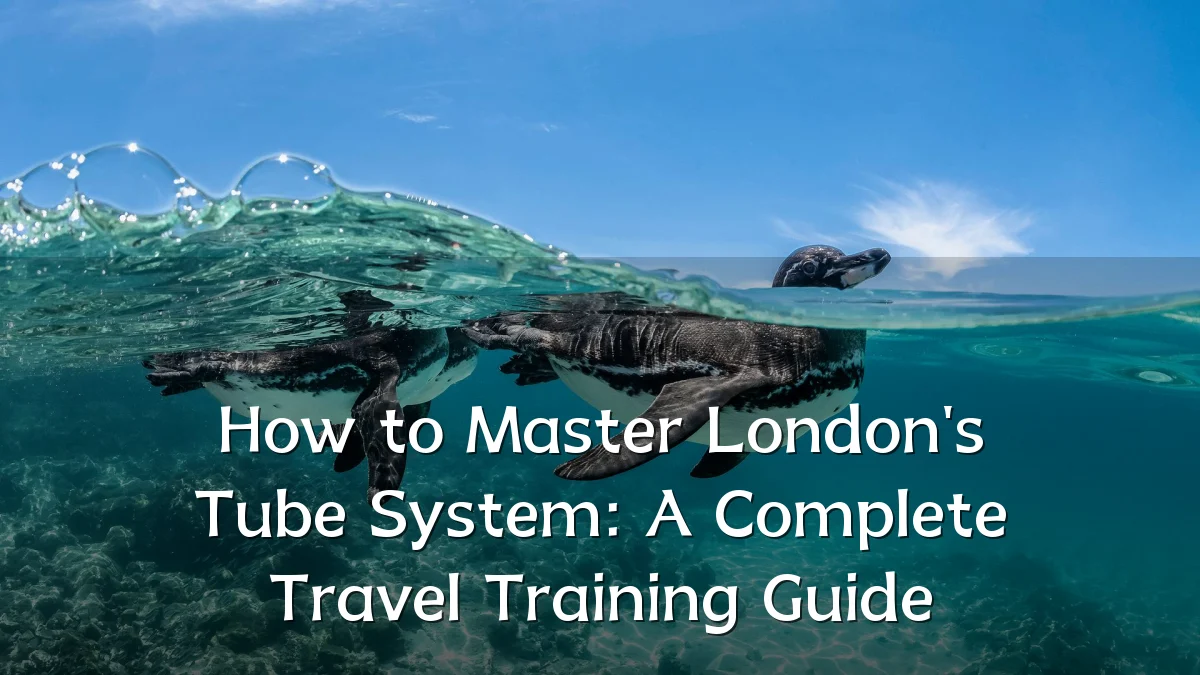 How to Master London's Tube System: A Complete Travel Training Guide