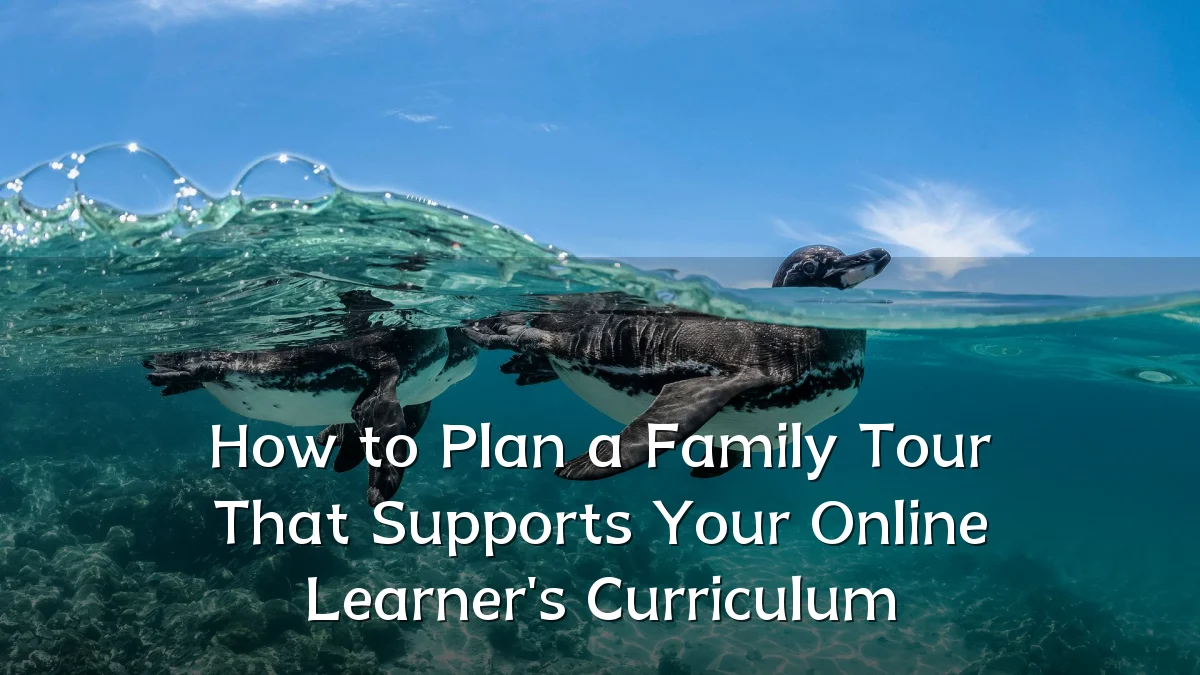 How to Plan a Family Tour That Supports Your Online Learner's Curriculum