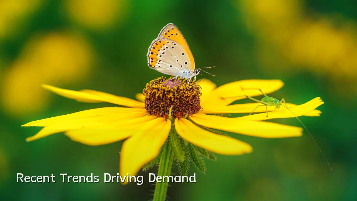 Recent Trends Driving Demand