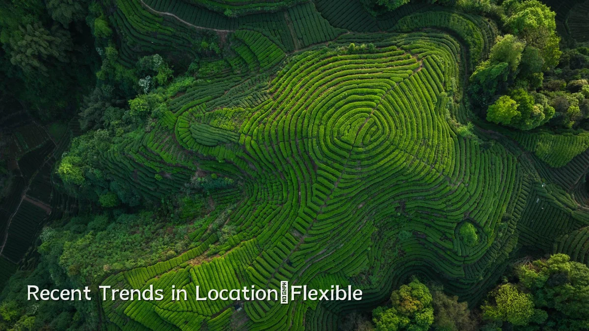 Recent Trends in Location‑Flexible