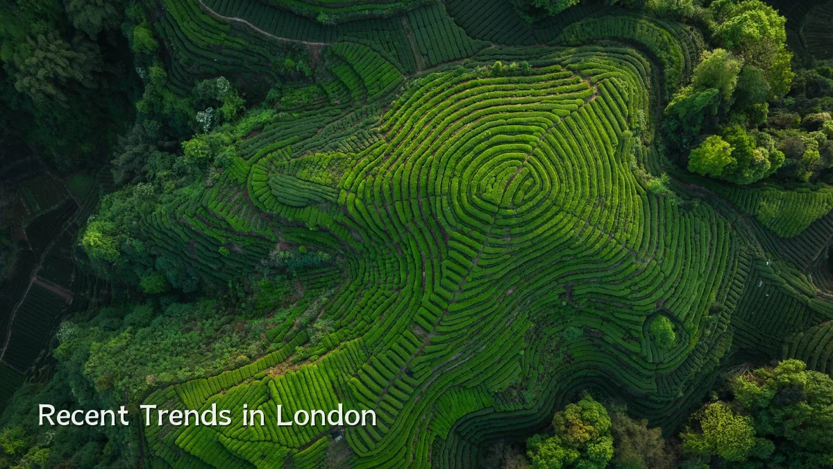 Recent Trends in London