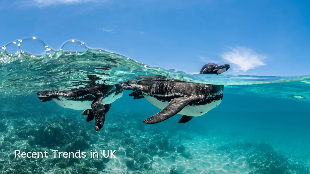 Recent Trends in UK