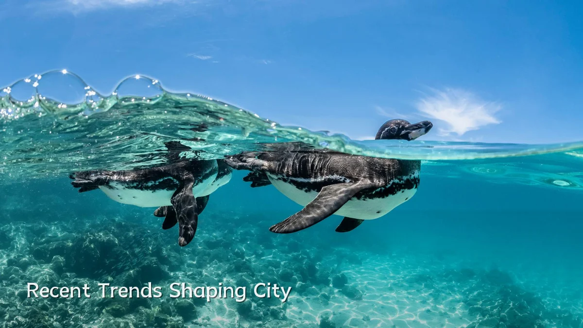 Recent Trends Shaping City