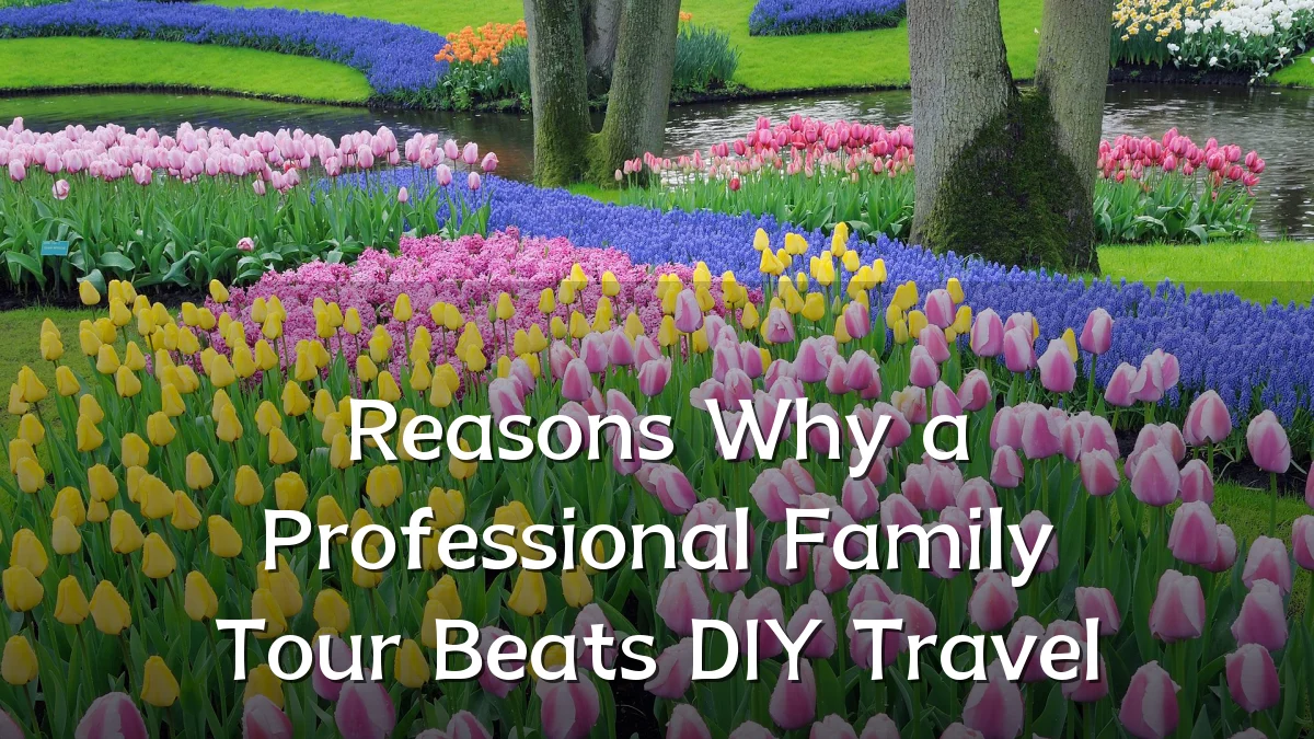 Reasons Why a Professional Family Tour Beats DIY Travel