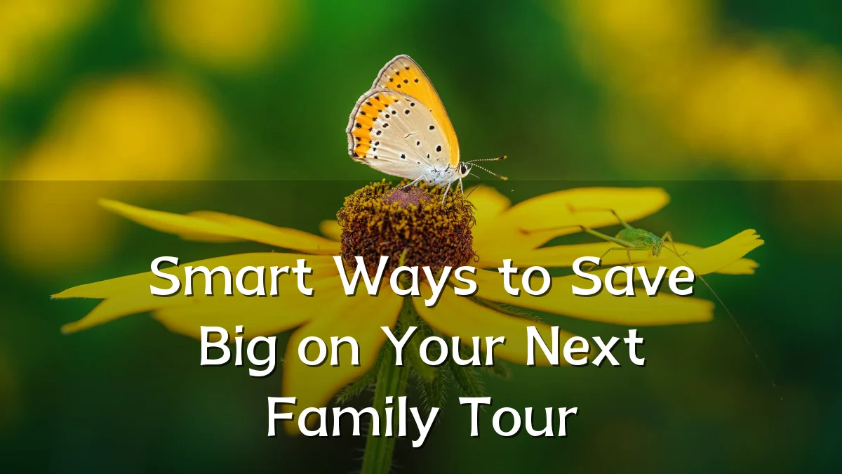 Smart Ways to Save Big on Your Next Family Tour