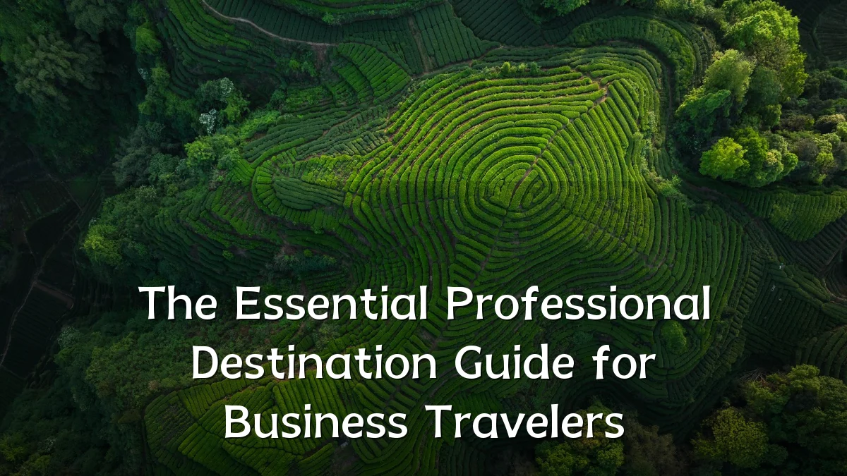 The Essential Professional Destination Guide for Business Travelers