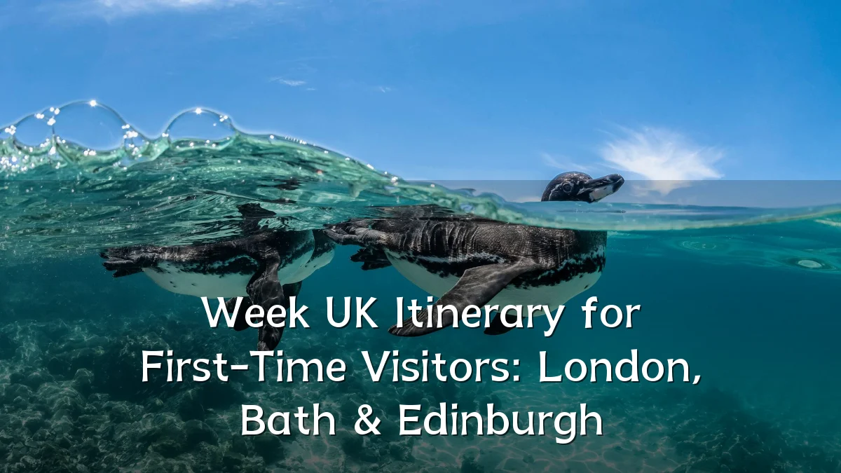 Week UK Itinerary for First-Time Visitors: London, Bath & Edinburgh