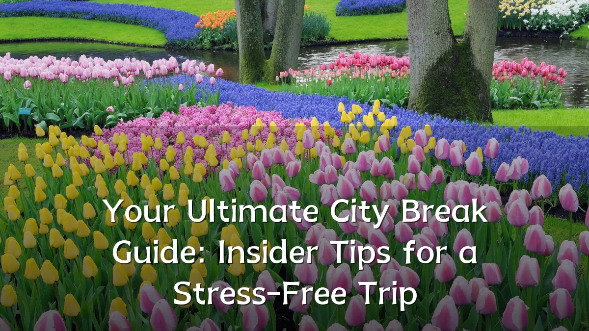 Your Ultimate City Break Guide: Insider Tips for a Stress-Free Trip